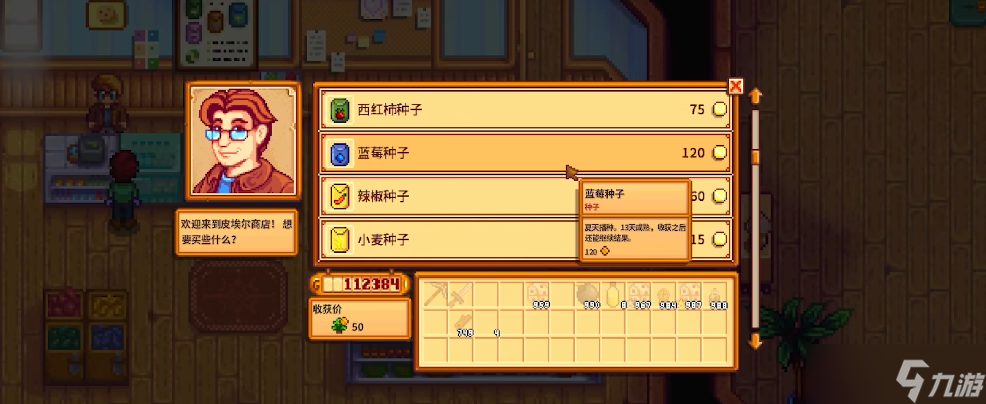 星露谷物语种植什么最赚钱