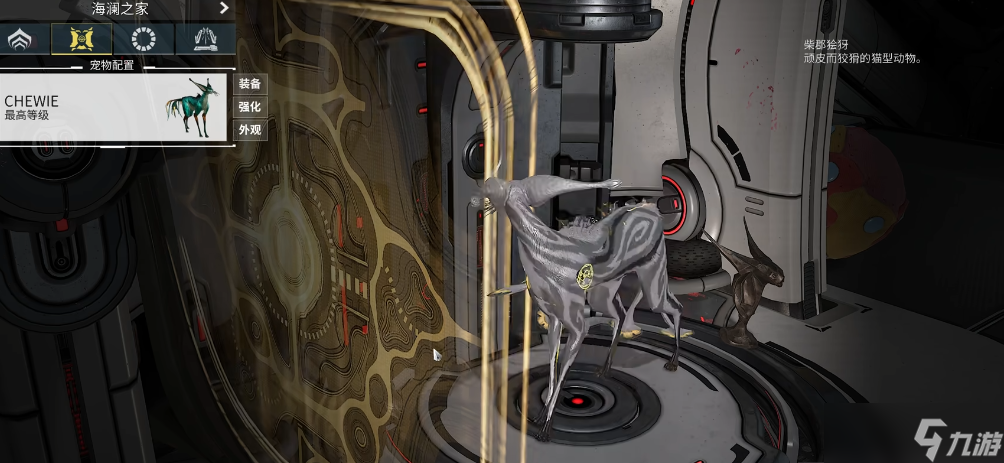 星际战甲好运猫怎么抓