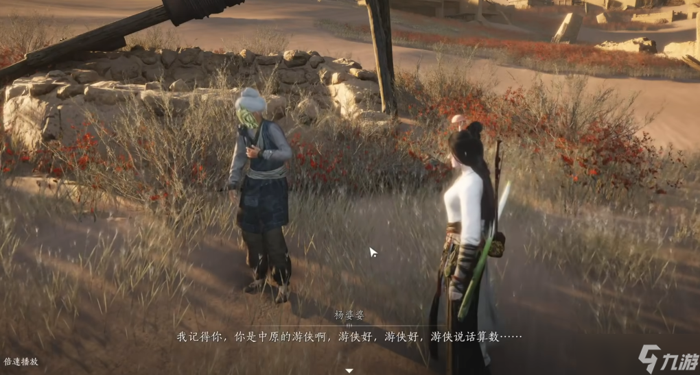 燕云十六声杨婆婆在哪