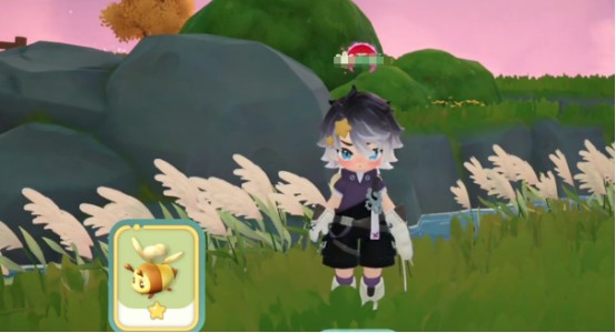 米姆米姆哈小橘蜂去哪捕捉 小橘蜂捕捉攻略